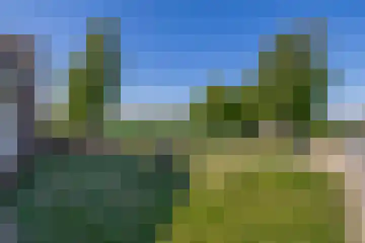 Achterdijk 189 Zevenbergschen Hoek thumbnail 35