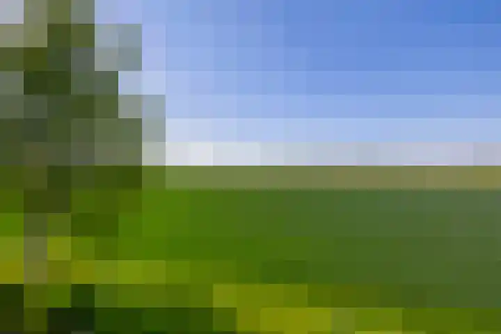 Achterdijk 189 Zevenbergschen Hoek thumbnail 36