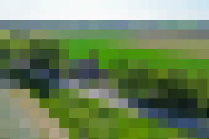 Achterdijk 189 Zevenbergschen Hoek thumbnail 37