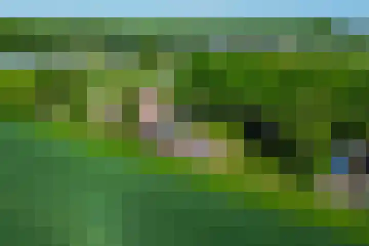 Achterdijk 189 Zevenbergschen Hoek thumbnail 38