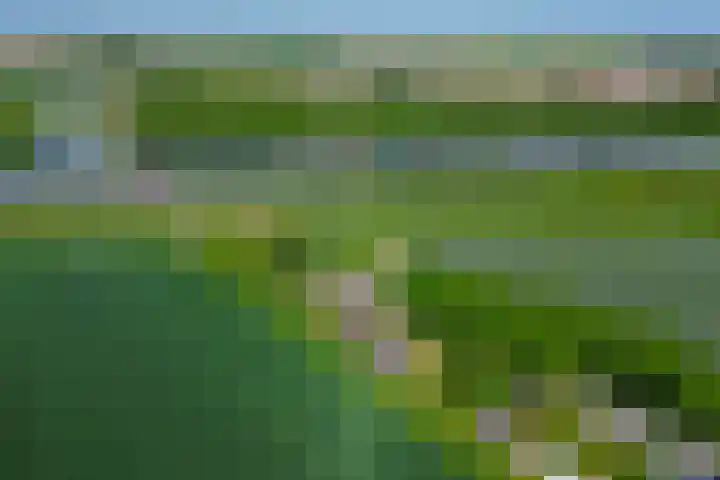 Achterdijk 189 Zevenbergschen Hoek thumbnail 39