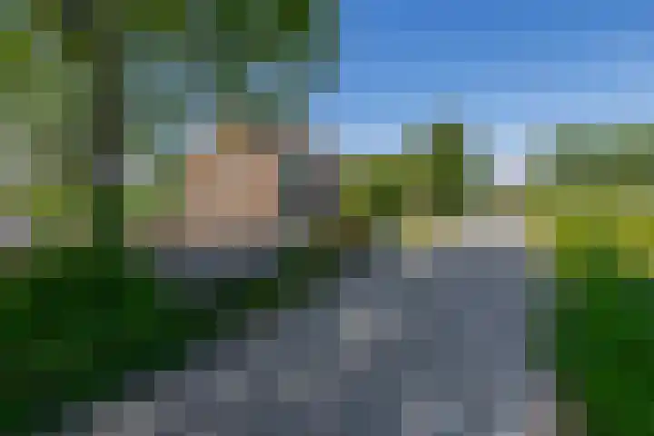 Achterdijk 189 Zevenbergschen Hoek thumbnail 5
