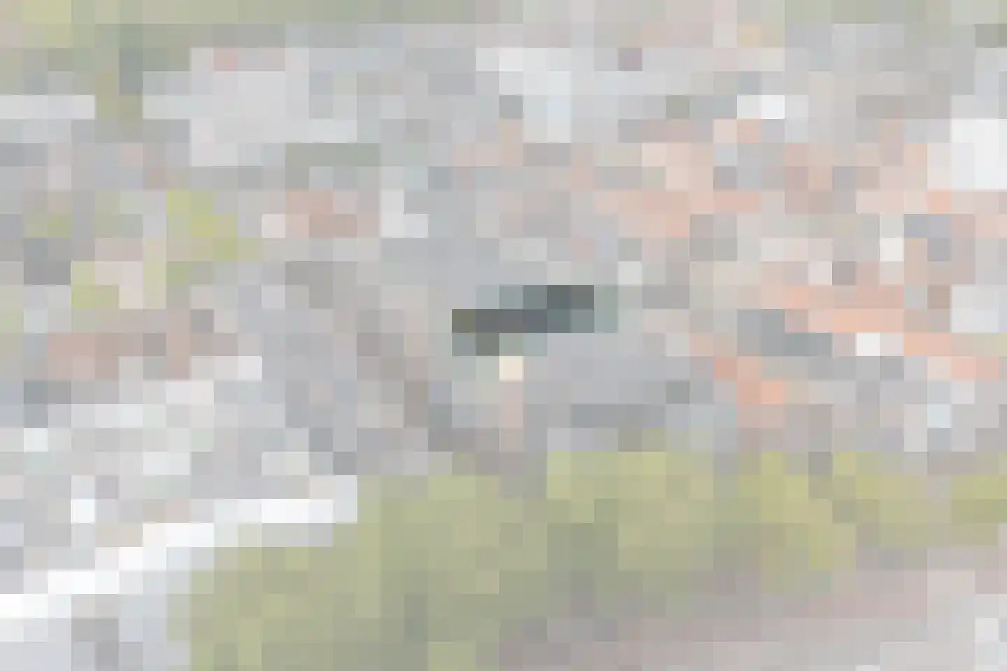 Achterdijk 24 B Purmerend thumbnail 6