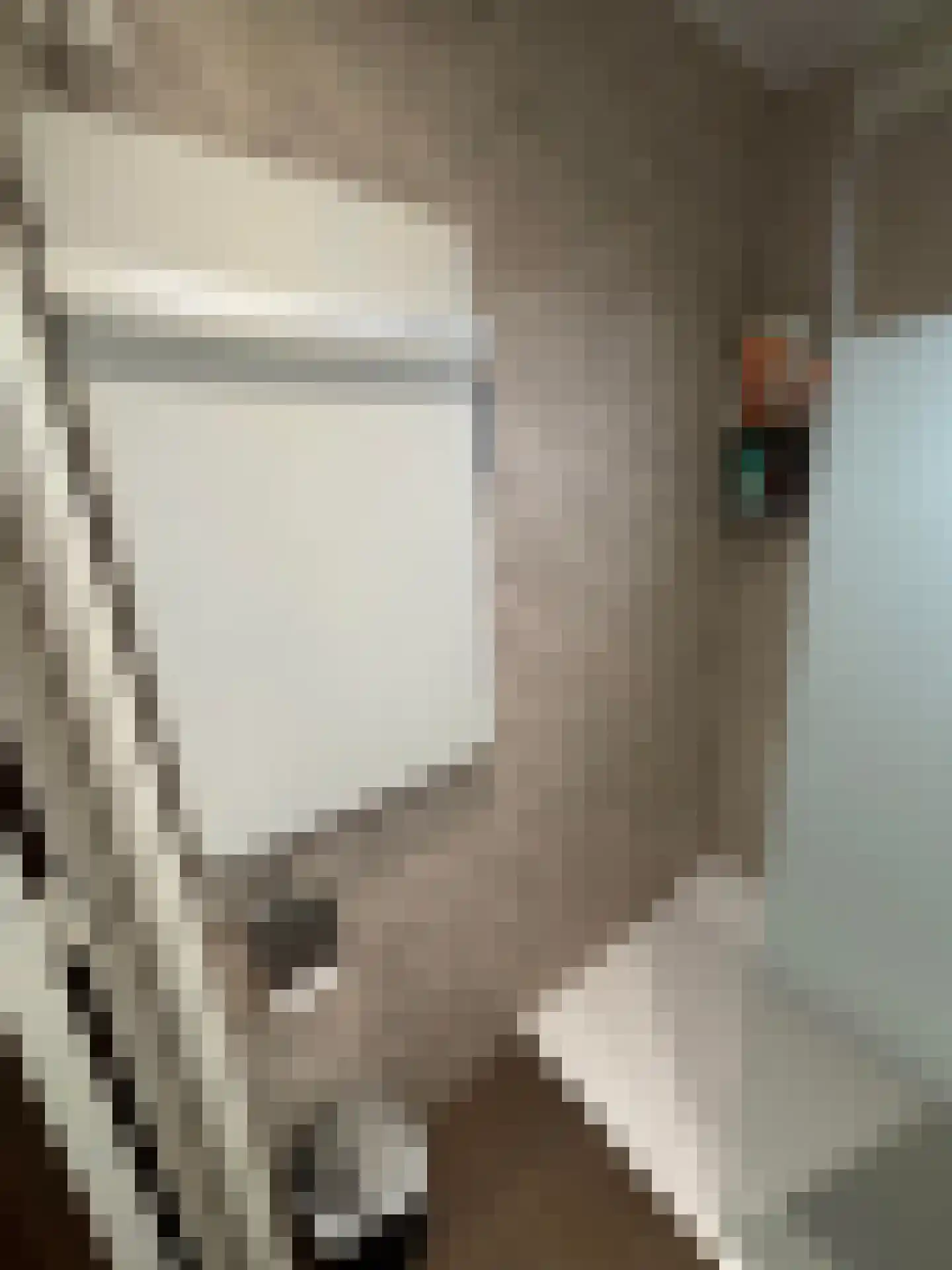 Achterdijk 28 Mill thumbnail 10