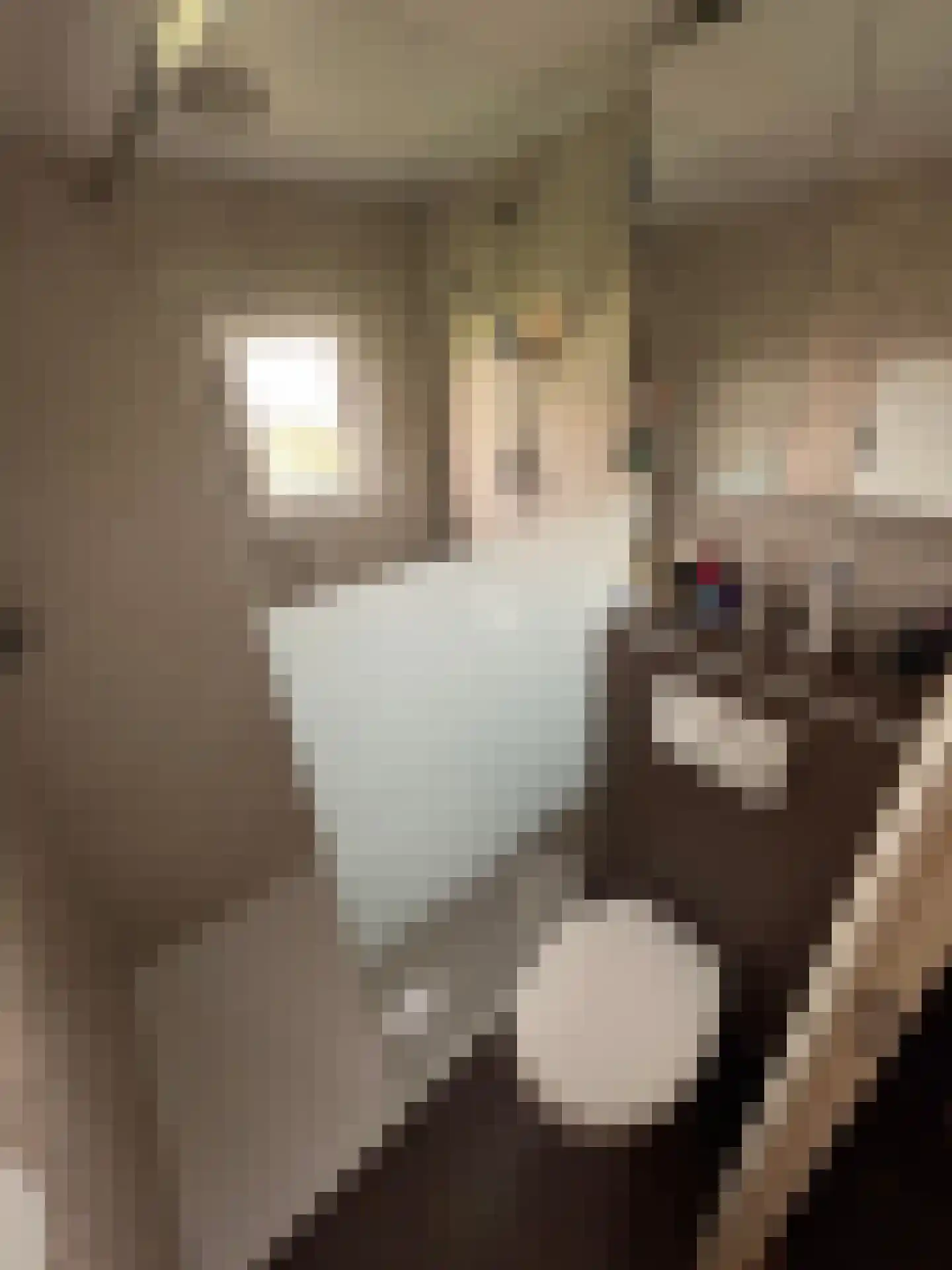 Achterdijk 28 Mill thumbnail 11