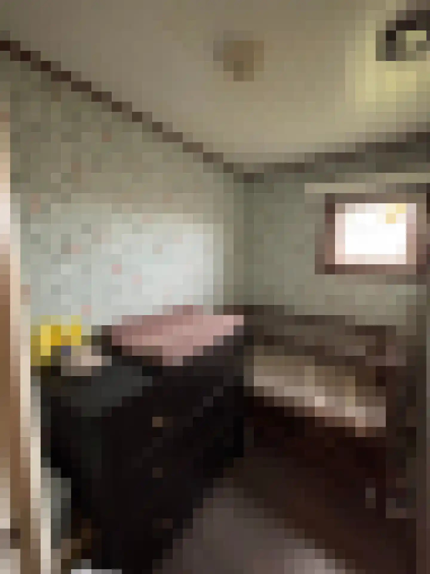 Achterdijk 28 Mill thumbnail 12