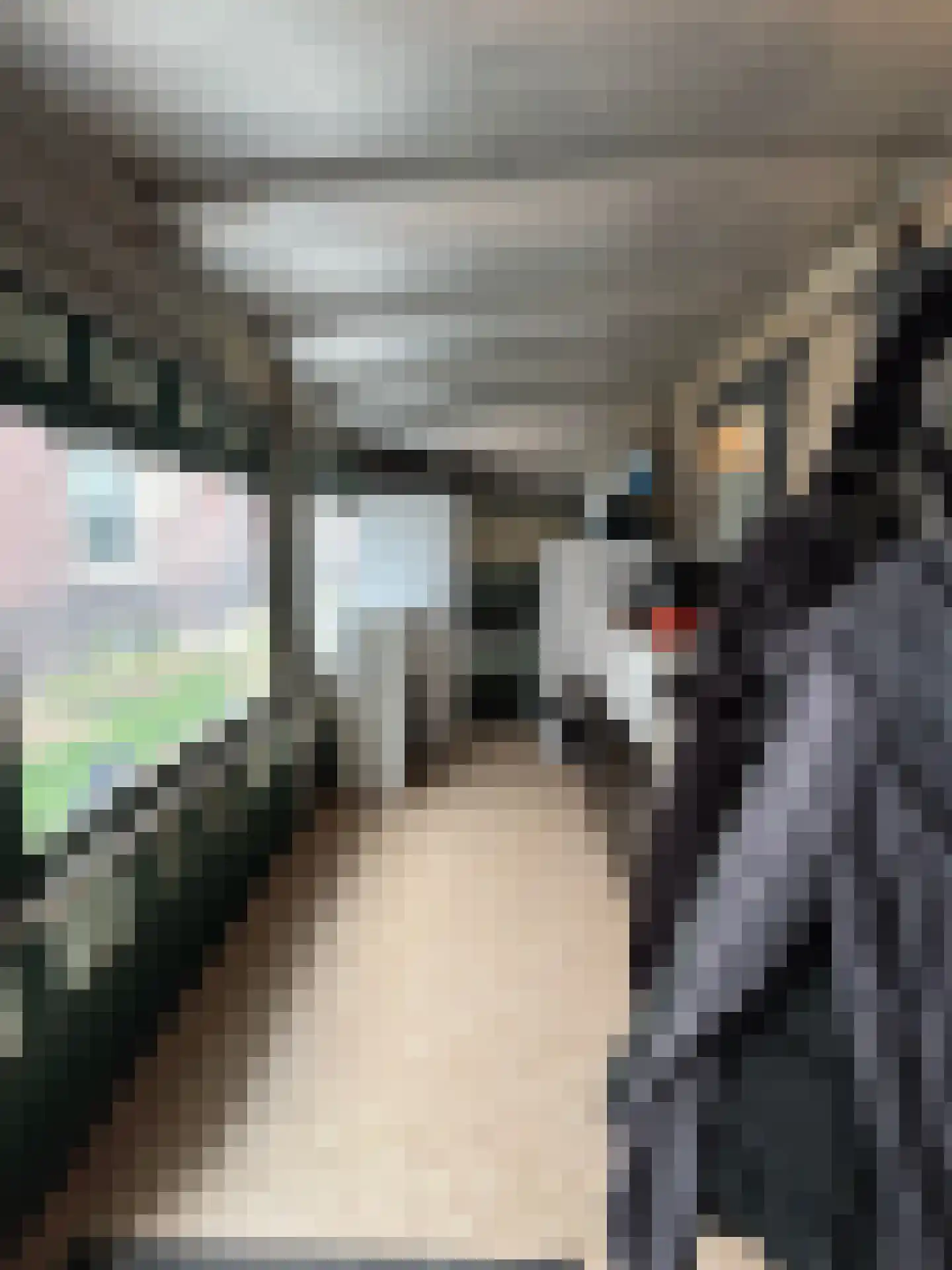 Achterdijk 28 Mill thumbnail 27