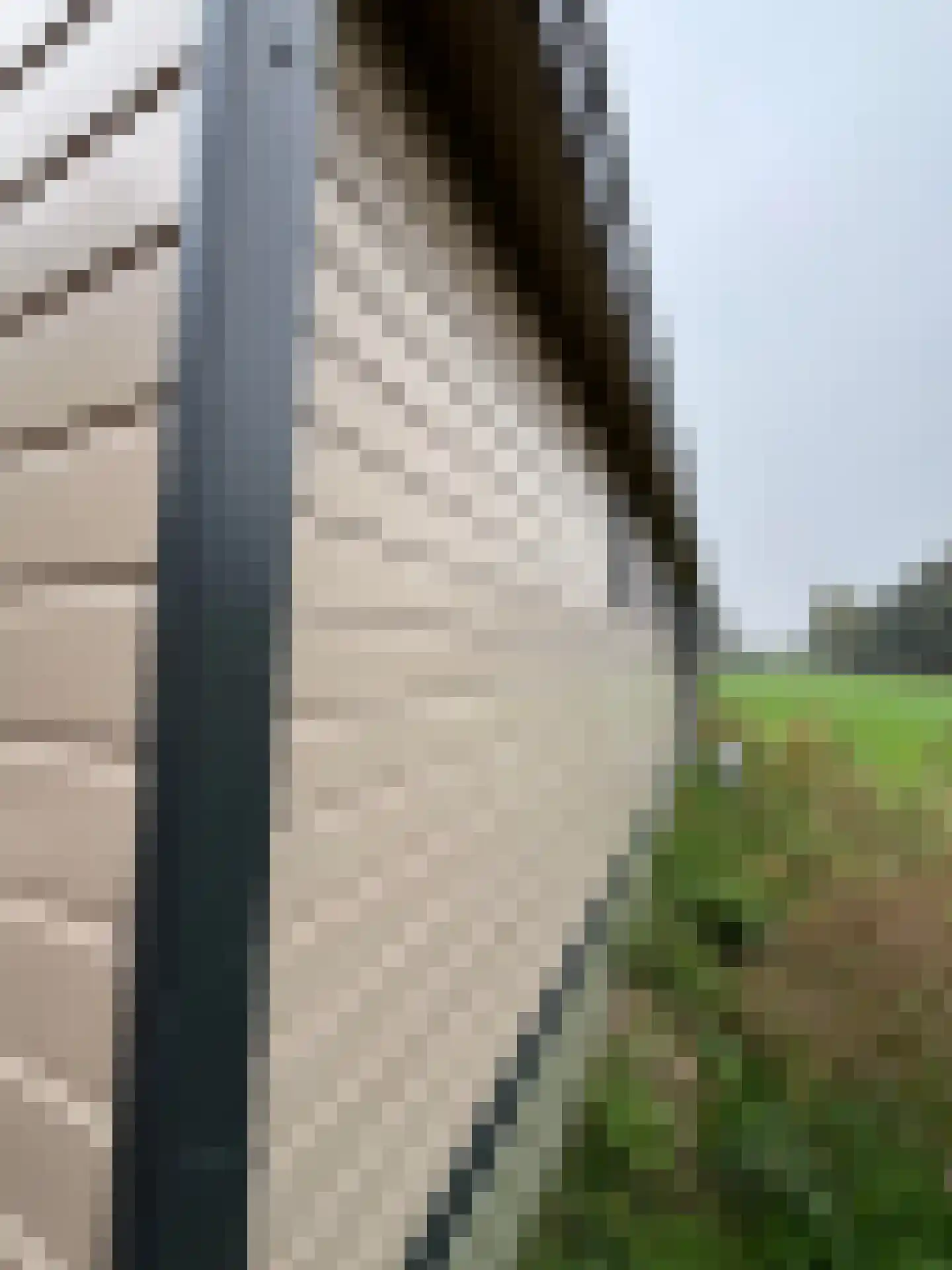 Achterdijk 28 Mill thumbnail 4