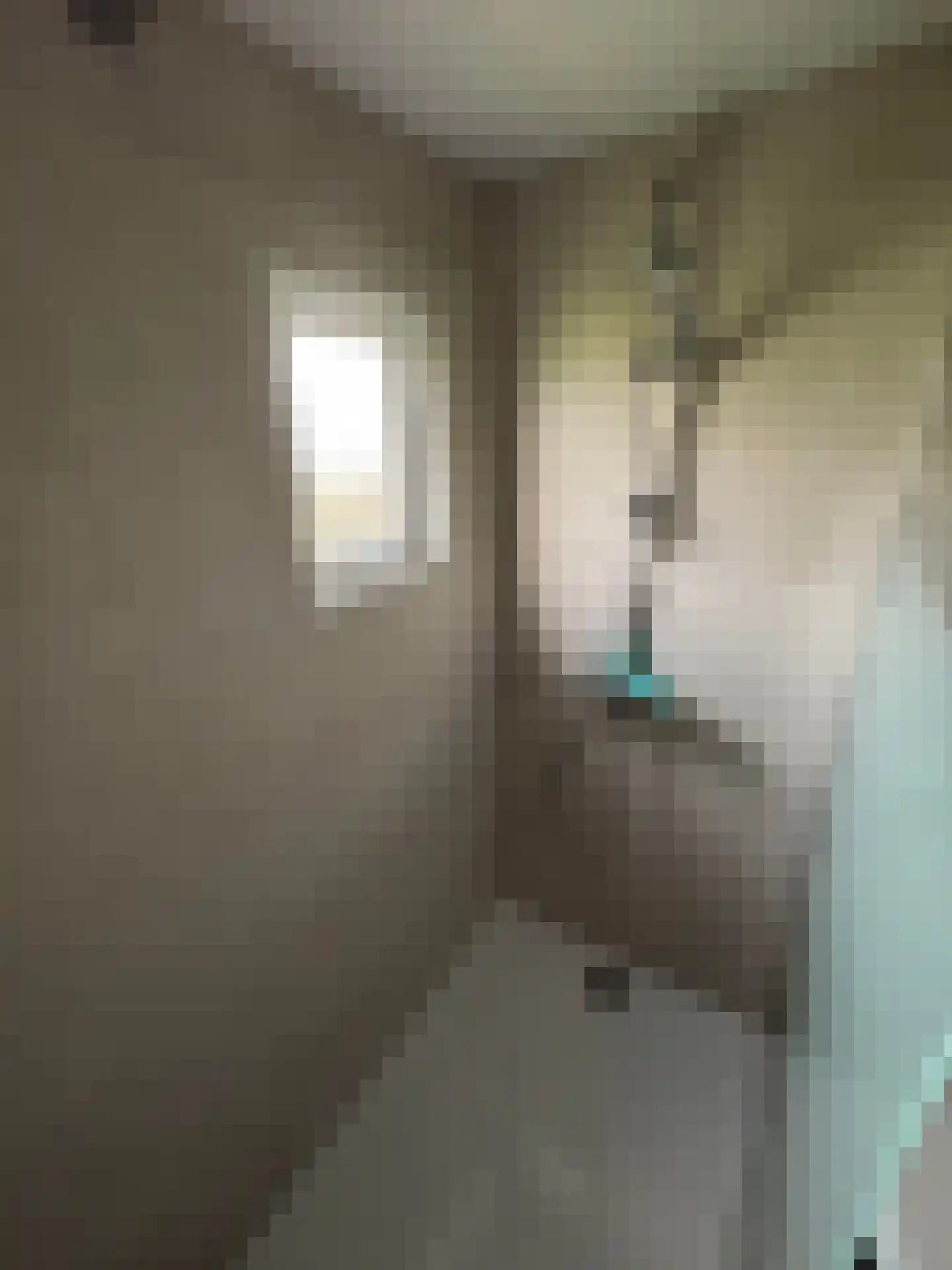 Achterdijk 28 Mill thumbnail 8