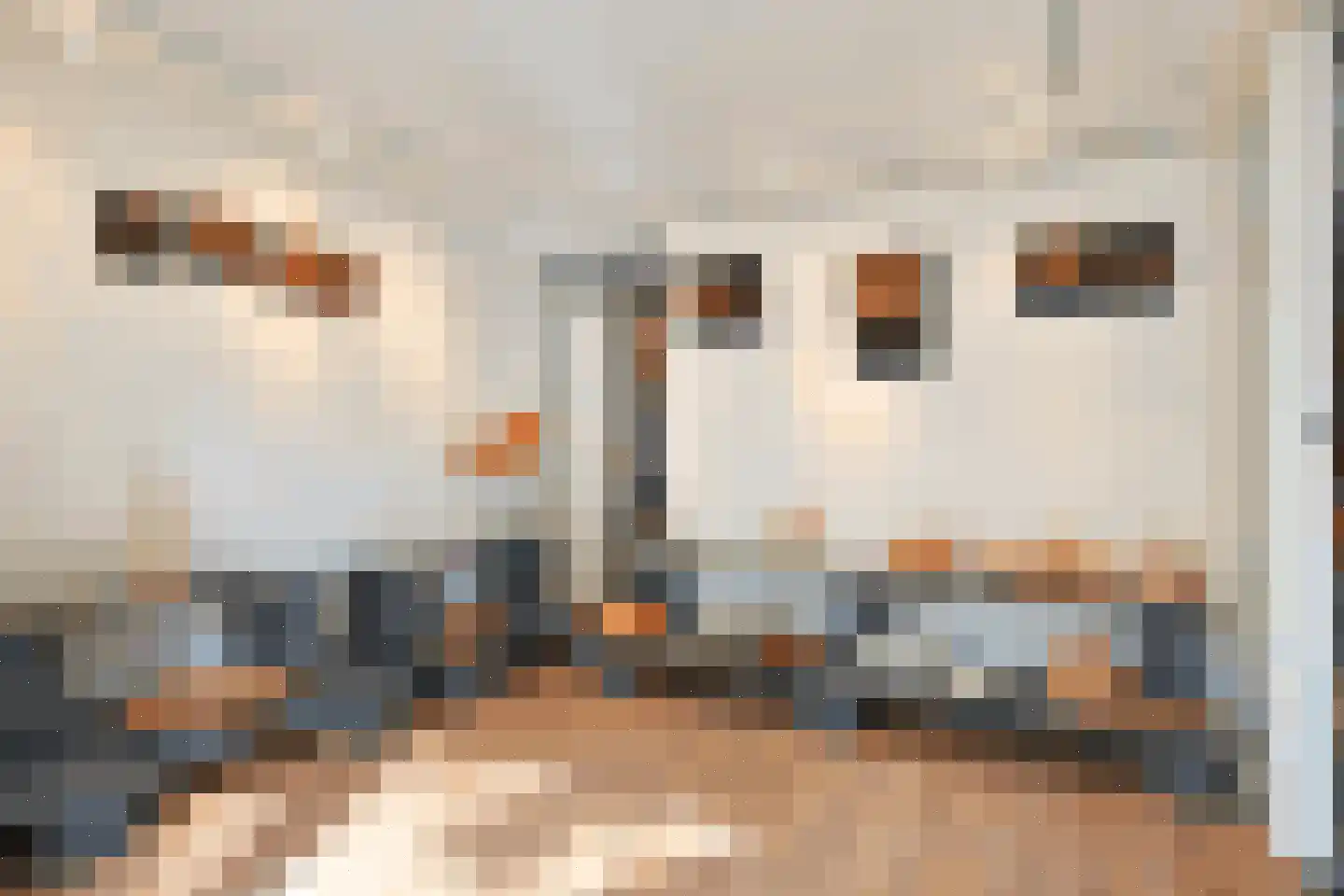 Achterdijk 29 Ouderkerk aan de Amstel thumbnail 38