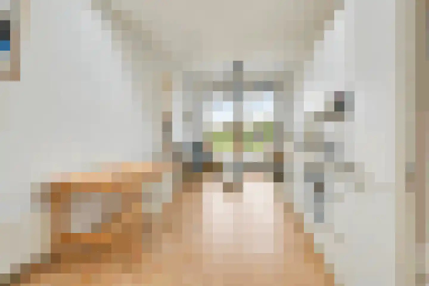 Achterdijk 29 Ouderkerk aan de Amstel thumbnail 49