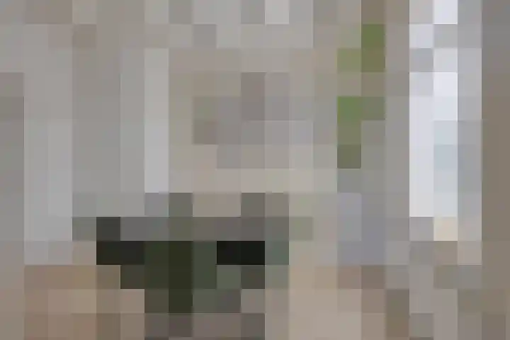 Achterdijk 3 Rossum thumbnail 11