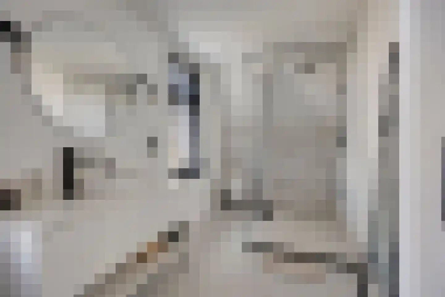Achterdijk 3 Rossum thumbnail 19
