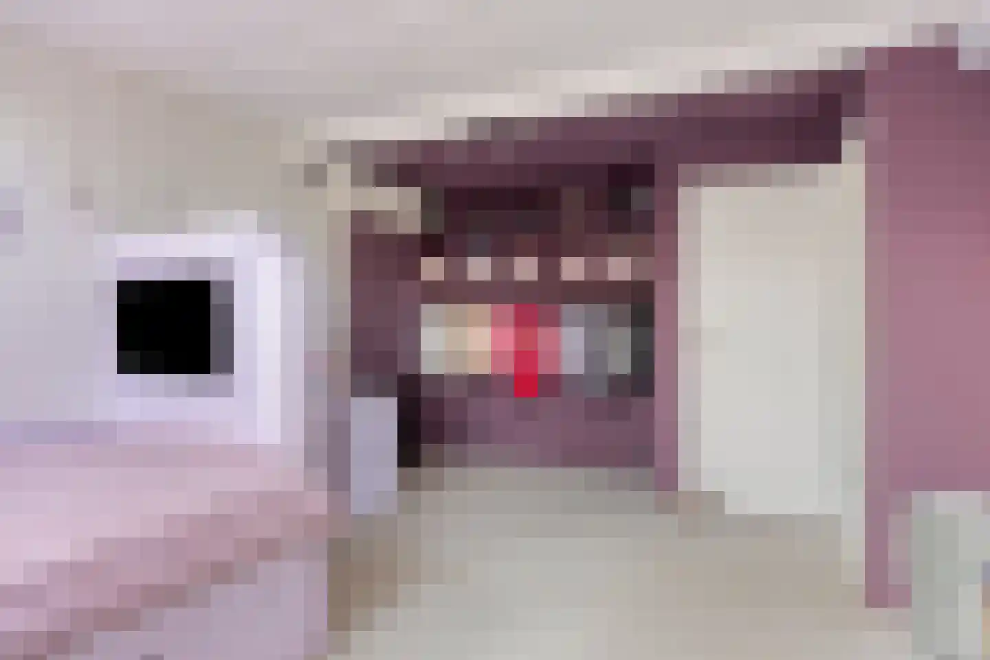 Achterdijk 3 Rossum thumbnail 32