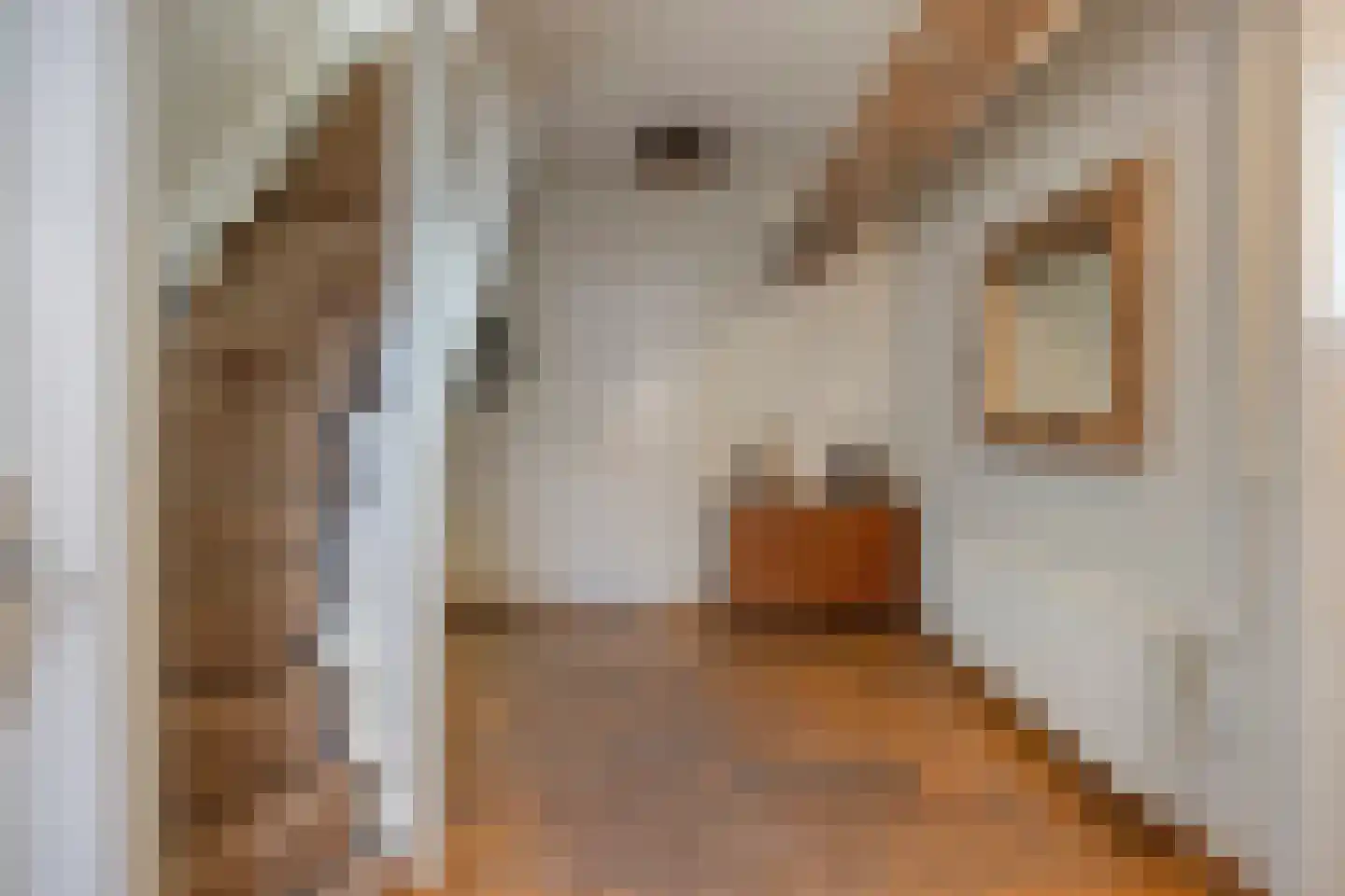 Achterdijk 3 Rossum thumbnail 33