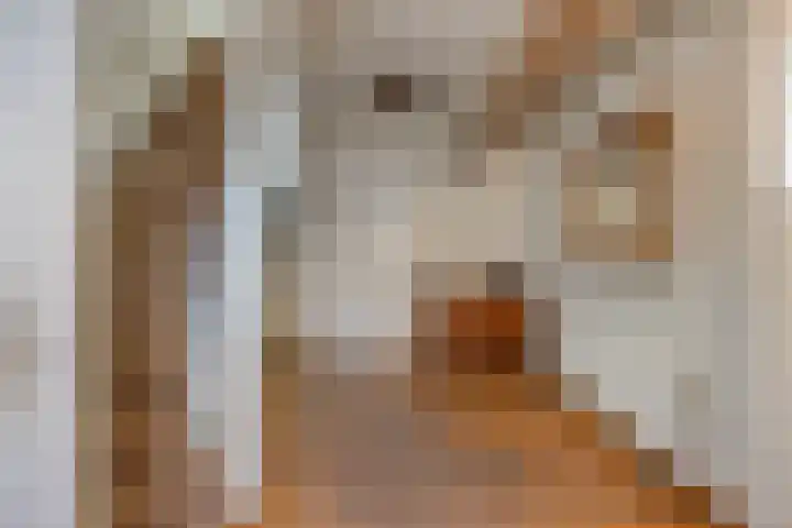 Achterdijk 3 Rossum thumbnail 33