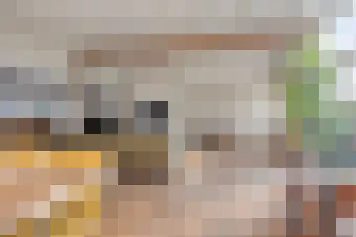 Achterdijk 3 Rossum thumbnail 34