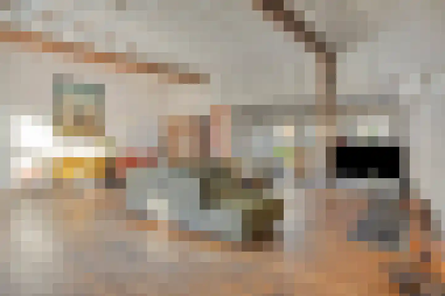Achterdijk 3 Rossum thumbnail 35