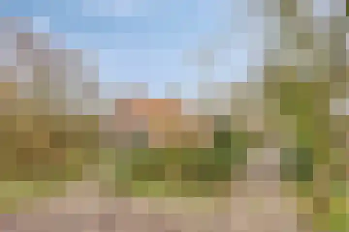 Achterdijk 3 Rossum thumbnail 4