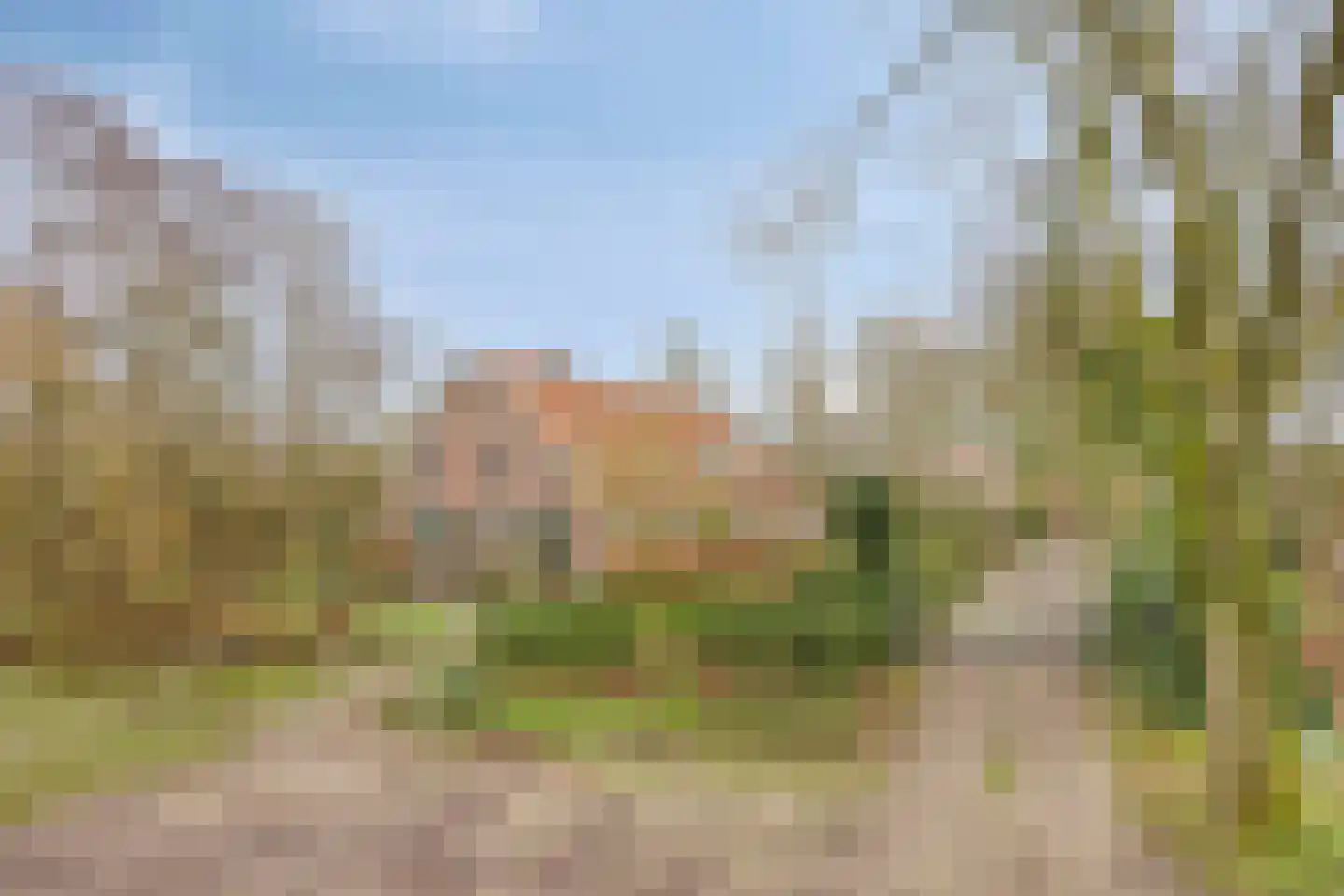 Achterdijk 3 Rossum thumbnail 4
