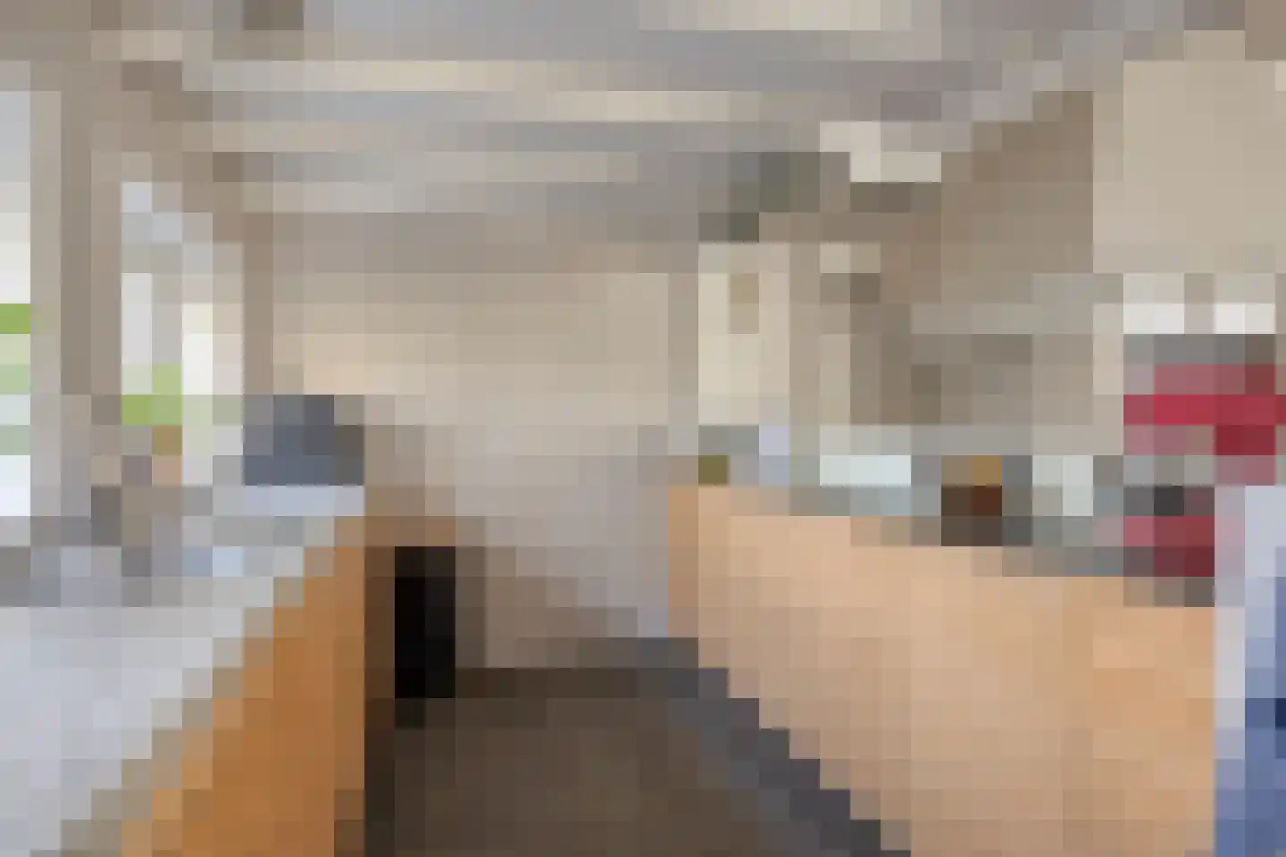 Achterdijk 3 Rossum thumbnail 40