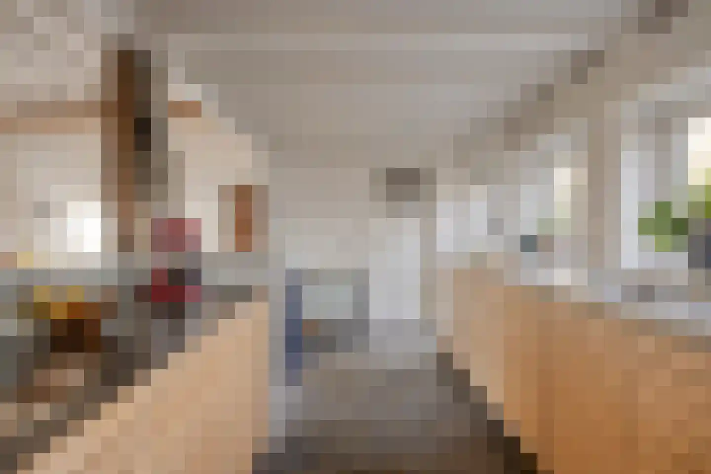 Achterdijk 3 Rossum thumbnail 42
