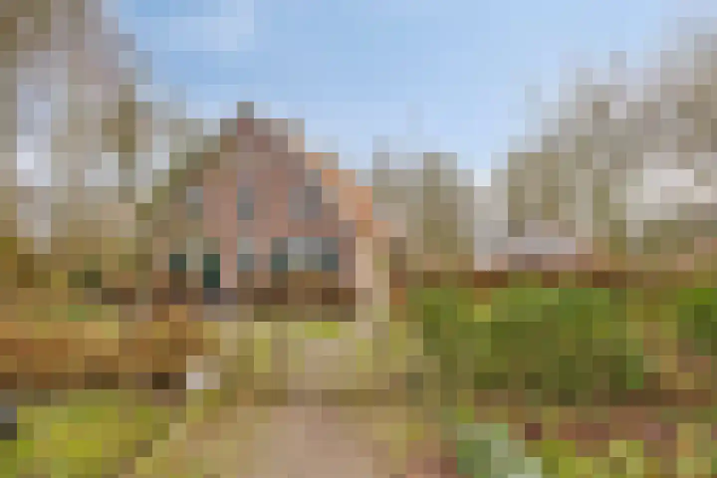 Achterdijk 3 Rossum thumbnail 5