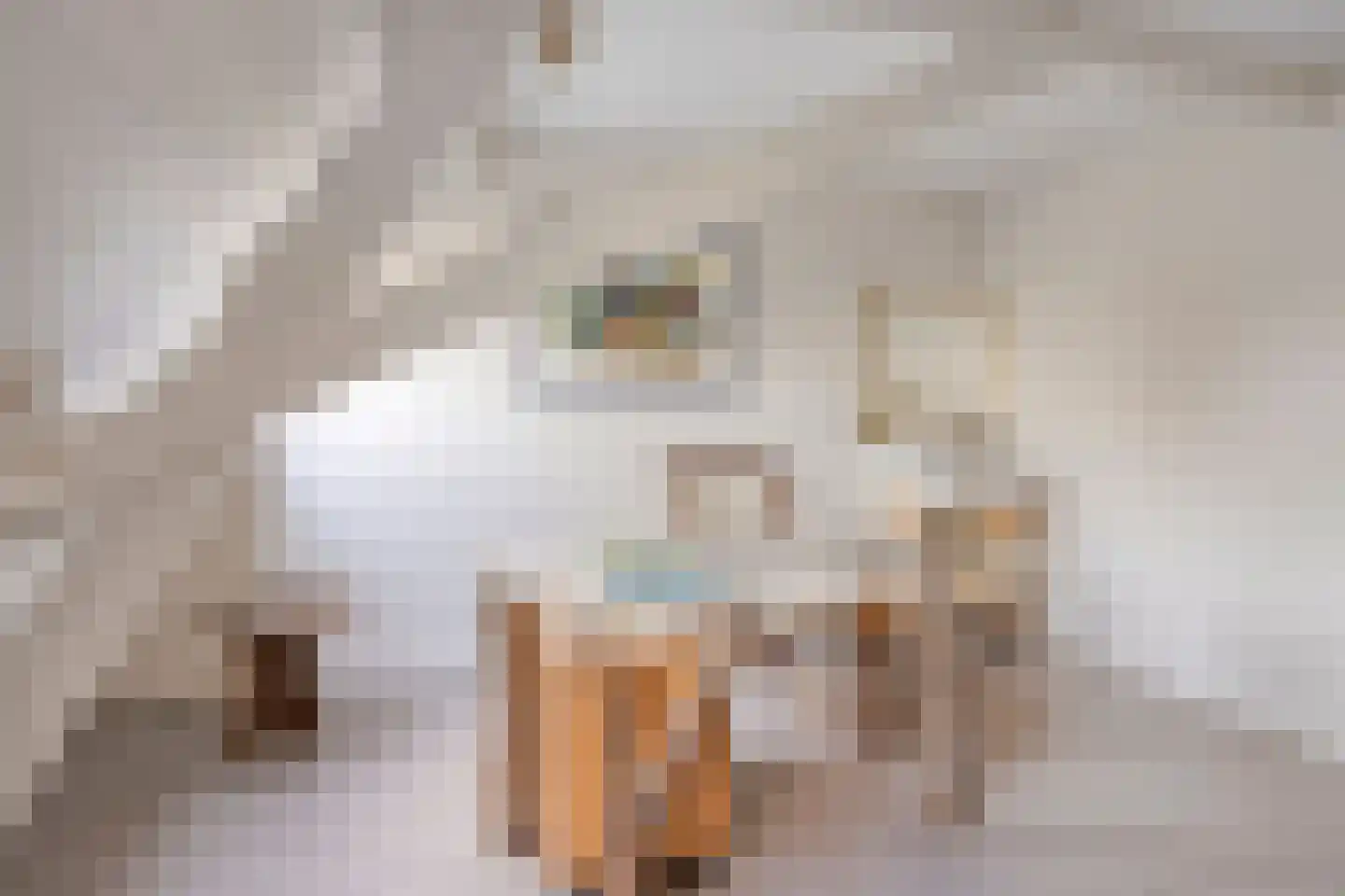 Achterdijk 3 Rossum thumbnail 56