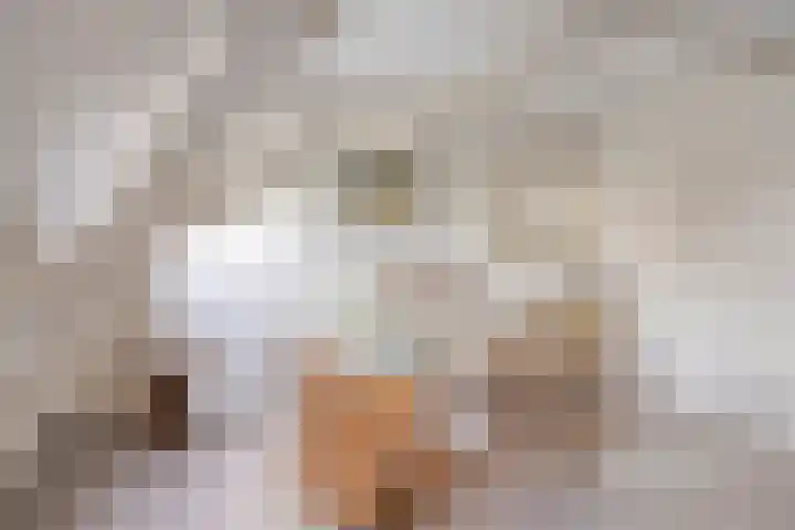 Achterdijk 3 Rossum thumbnail 56