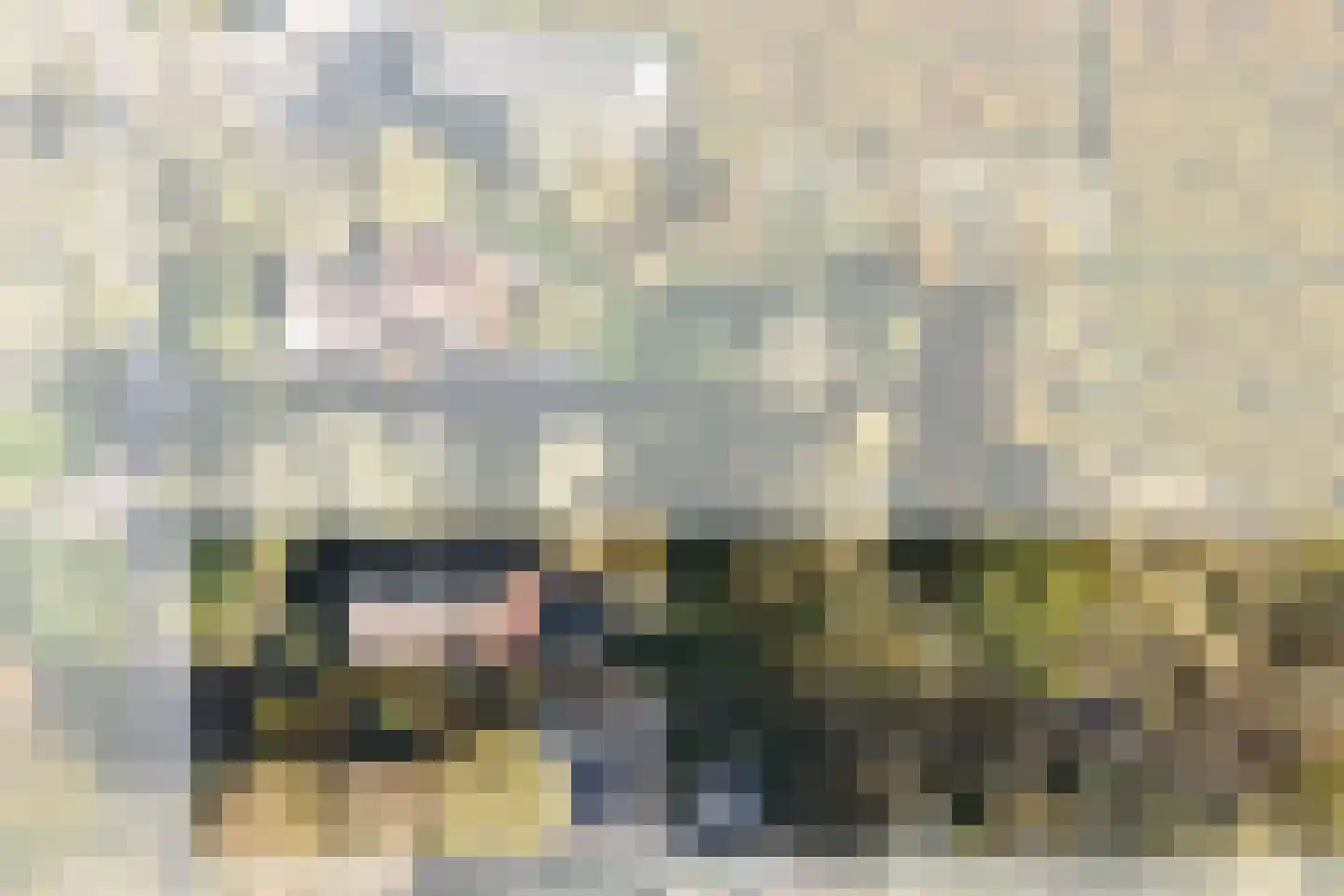 Achterdijk 3 Rossum thumbnail 6