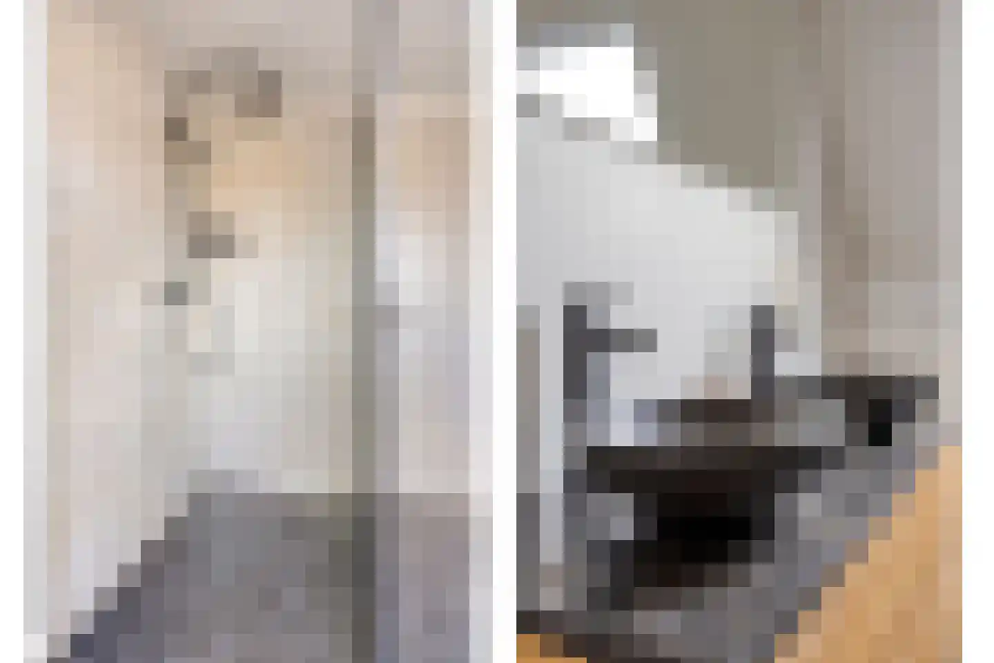 Achterdijk 3 Rossum thumbnail 62