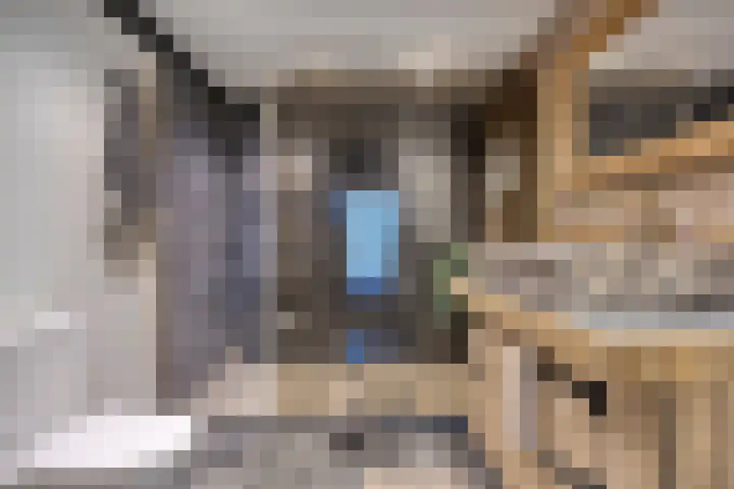 Achterdijk 3 Rossum thumbnail 65