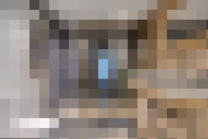 Achterdijk 3 Rossum thumbnail 65