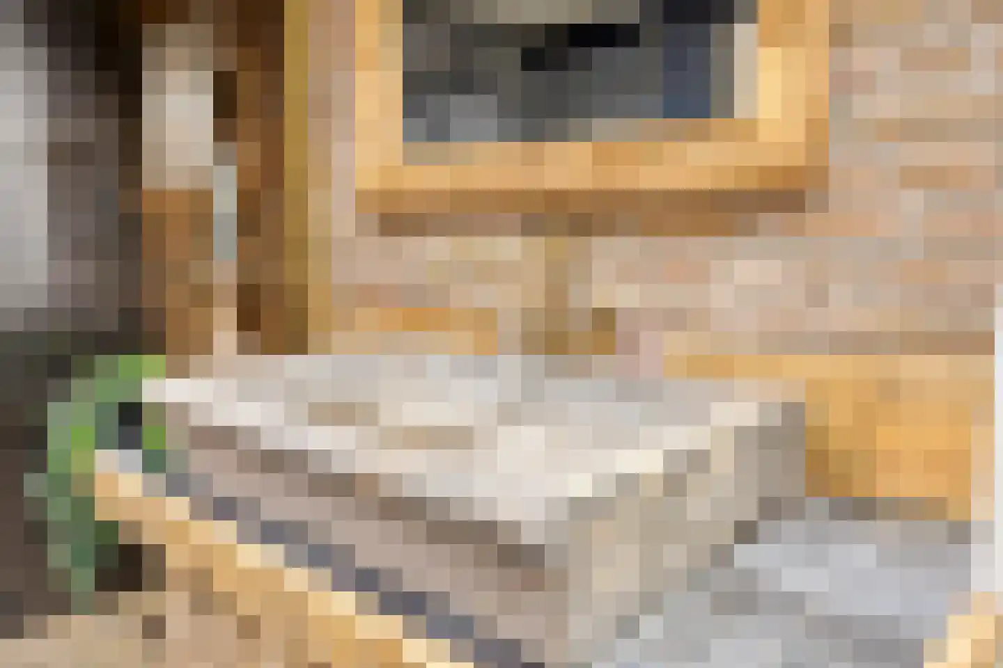 Achterdijk 3 Rossum thumbnail 66