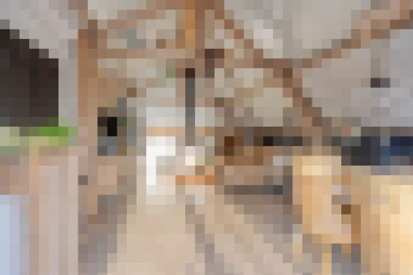 Achterdijk 3 Rossum thumbnail 67