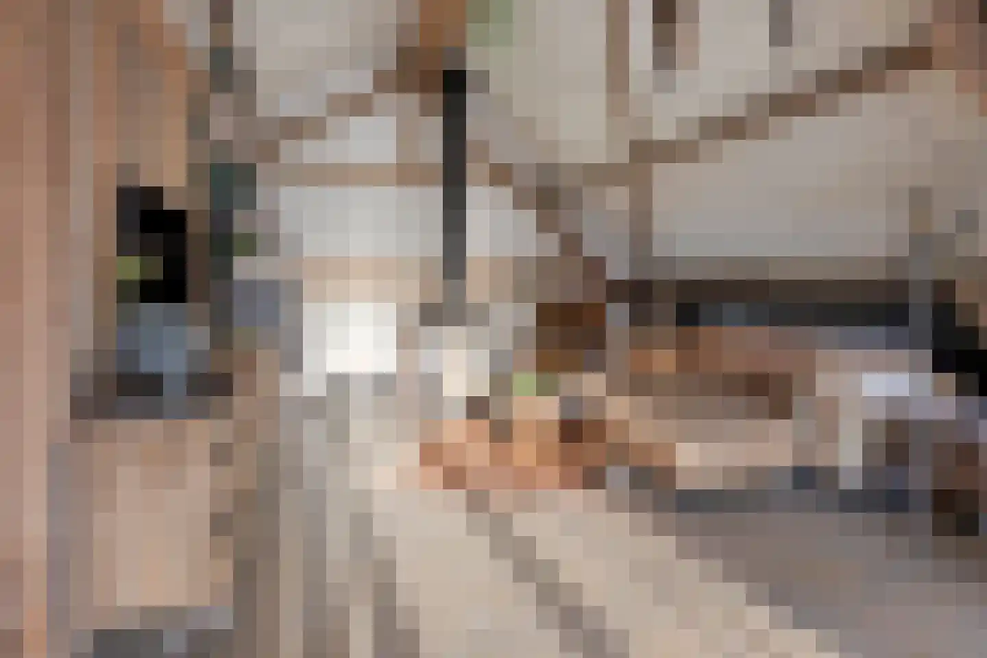 Achterdijk 3 Rossum thumbnail 68