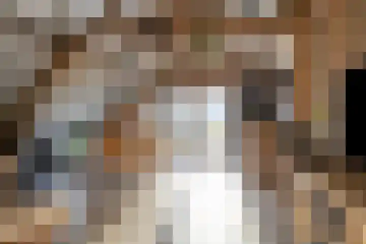 Achterdijk 3 Rossum thumbnail 69