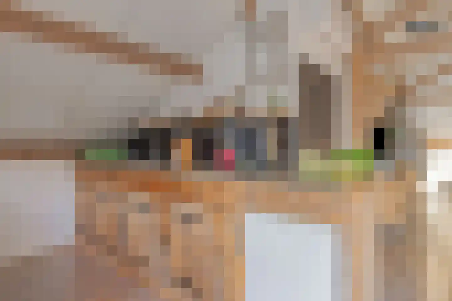 Achterdijk 3 Rossum thumbnail 72