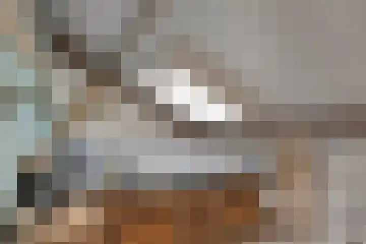 Achterdijk 3 Rossum thumbnail 74
