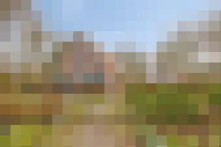 Achterdijk 3 Rossum thumbnail 78
