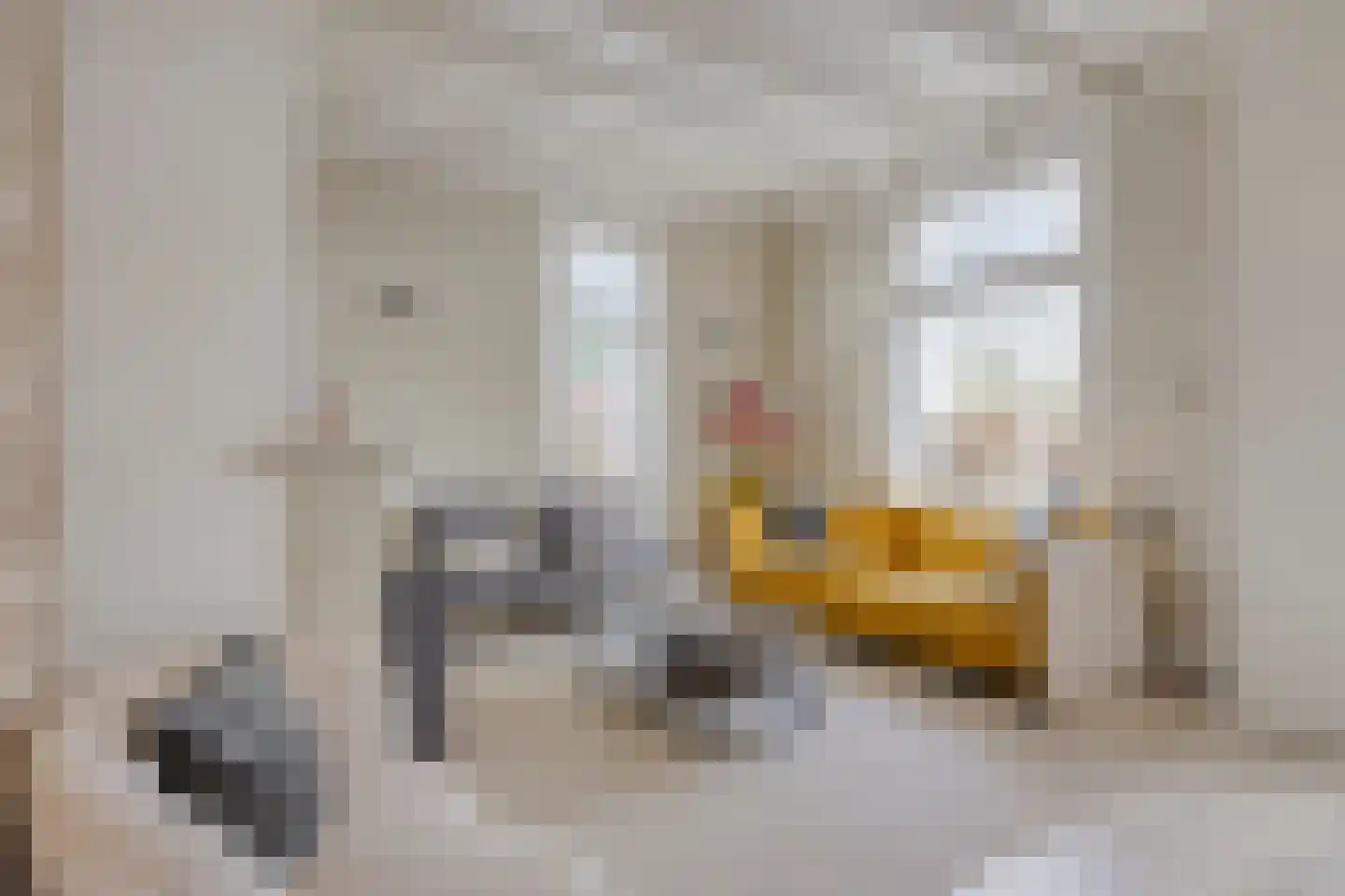Achterdijk 3 Rossum thumbnail 8