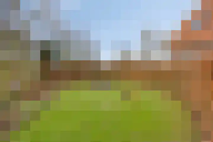 Achterdijk 3 Rossum thumbnail 80