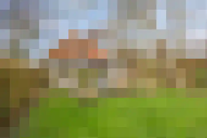 Achterdijk 3 Rossum thumbnail 82