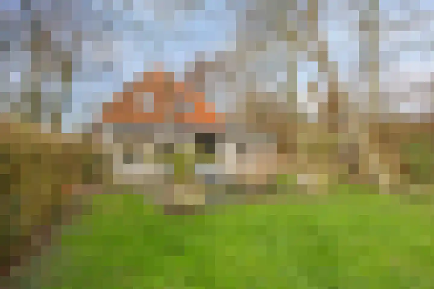 Achterdijk 3 Rossum thumbnail 82