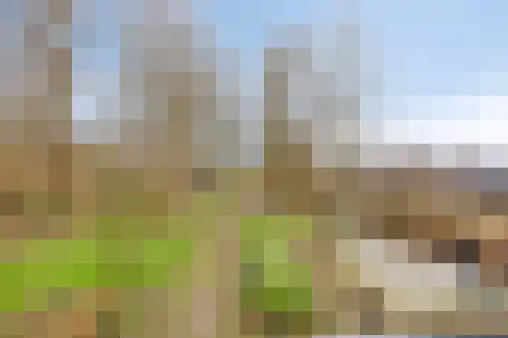 Achterdijk 3 Rossum thumbnail 83