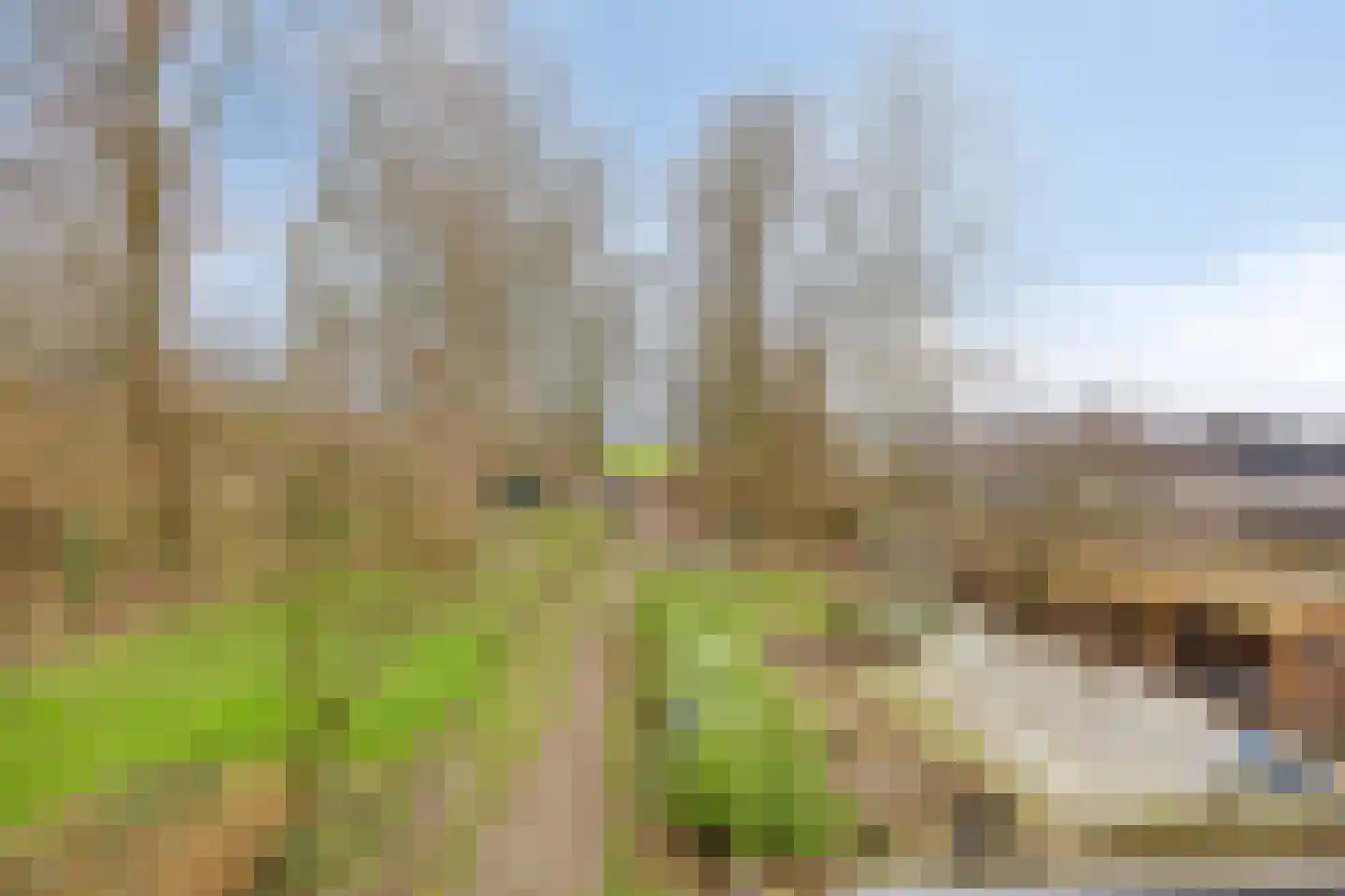 Achterdijk 3 Rossum thumbnail 83