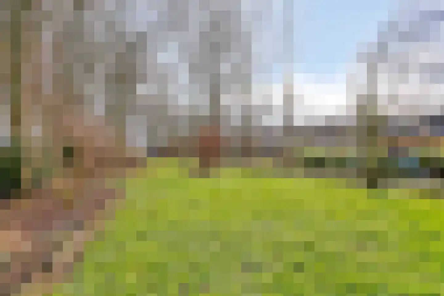 Achterdijk 3 Rossum thumbnail 84