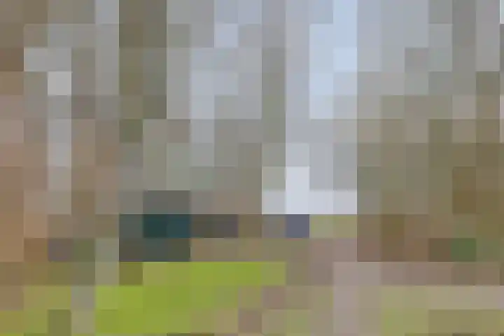 Achterdijk 3 Rossum thumbnail 85