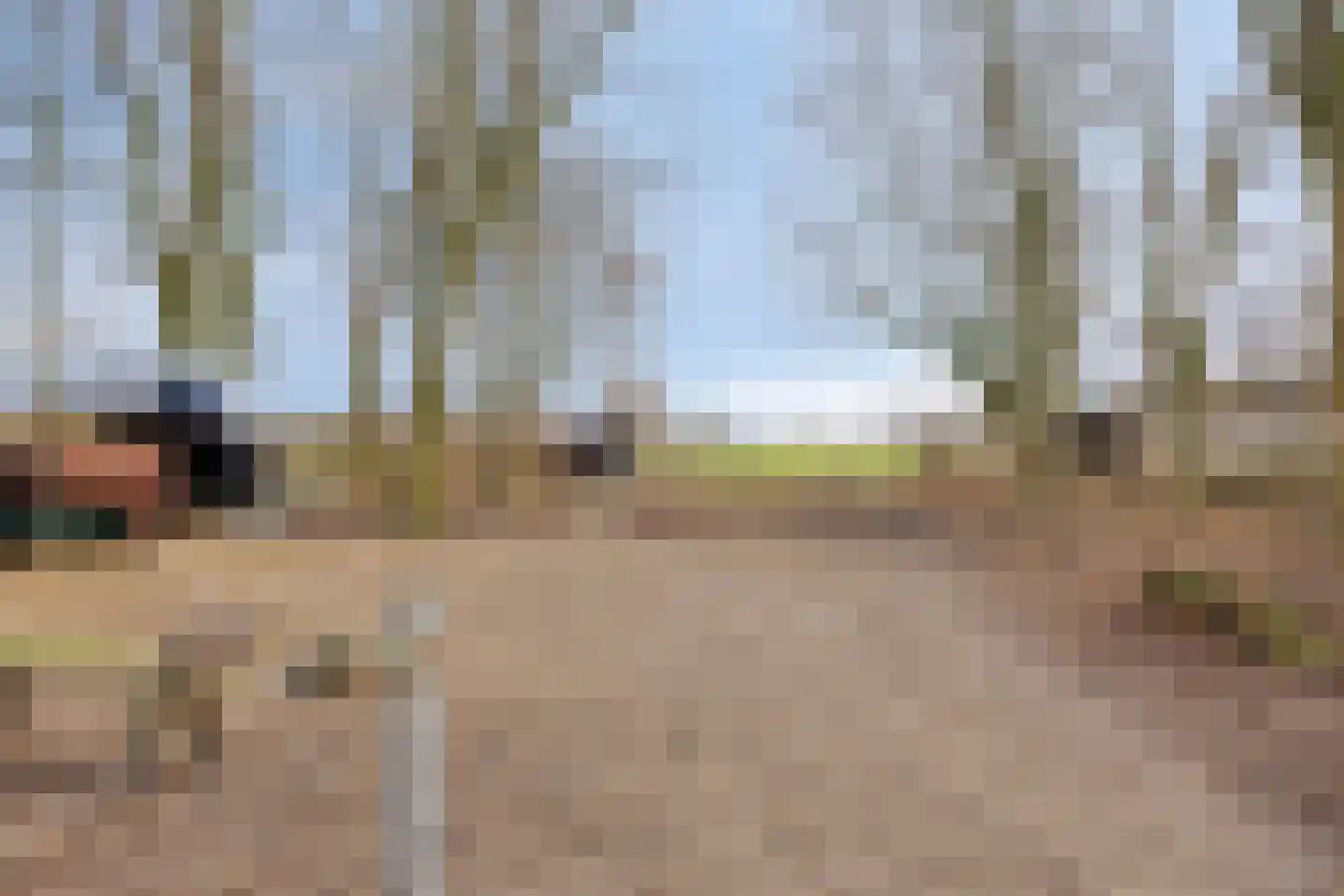 Achterdijk 3 Rossum thumbnail 86