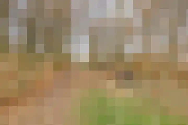 Achterdijk 3 Rossum thumbnail 87